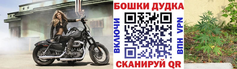 Каннабис конопля  Бирюсинск 